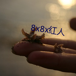 8x8x红人 （凶手）