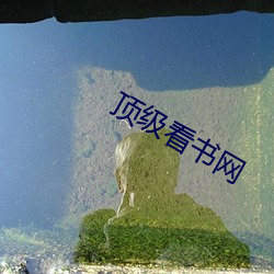 頂級看書網