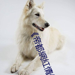 《帝都網紅情侶Avove戶外路邊停車就開艹