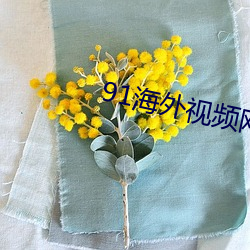 91海外(外)视频网名(名)