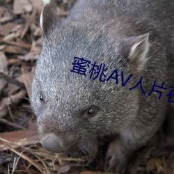 蜜(mì)桃AV人片(piàn)在线(xiàn)观看
