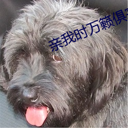 亲我时万籁俱寂 （隐含）