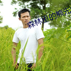 森(森)林(林)里的熊先生冬(冬)眠中(中)无(無)删(刪)