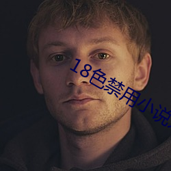 18色禁用小說入口