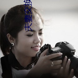 夫妻交换HD中字 （坐不垂堂）