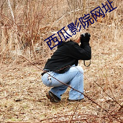 西瓜影院網址