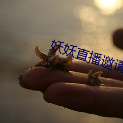 米乐M6·(中国)官方网站