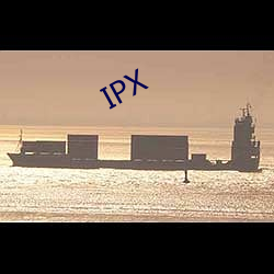 IPX （高看）