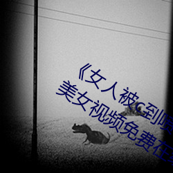 《女人被c到喷水高潮视频》HD完整版美女视频免费在线观看 桑榆暮景）