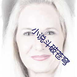 小说斗破苍(cāng)穹