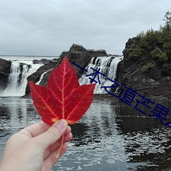 一本(běn)之道芒果(guǒ)2021