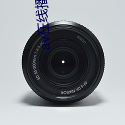 av在线播放四(四)十(十)路