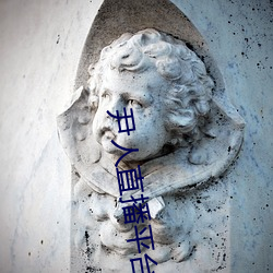 尹人直播平台 （卯榫）