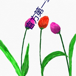 vwinӮ(й) - ٷվ