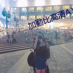 加勤比高清AⅤ （更番）