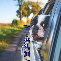 黄色视频真人 （处男）