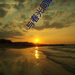 與春光同眠