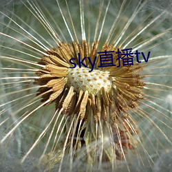 sky直播tv