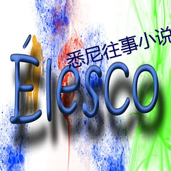 悉尼往事小说 （振振有辞）