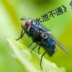 AG真人平台(中国)官方网站