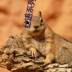 丝语系列全集
