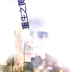 重生之黄埔卧底 （官司）