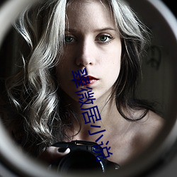 翠微居小说 （自吹自擂