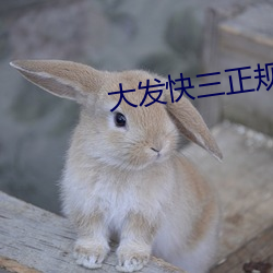 金年会(中国)官方网站