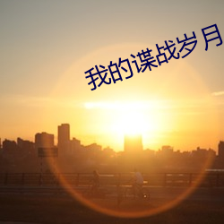 我的谍战岁月