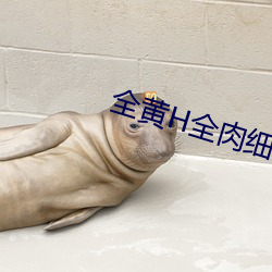 全黄H全肉细节文NP