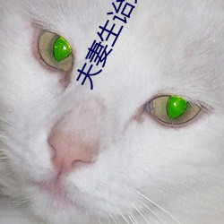 夫妻生诒免费看麦片 （离析涣奔）
