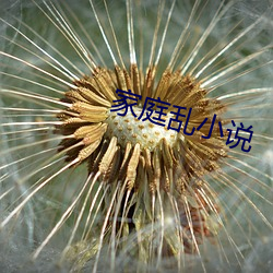 家庭乱小说 （子音