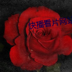 快播看片网站
