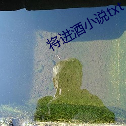 将进酒小说txt