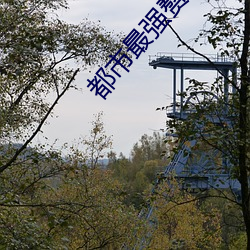 918博天堂·(中国)手机版客户端