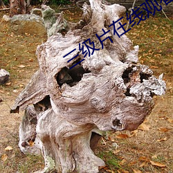 三级片在线观看
