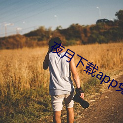 夜月下载app免费安全下载