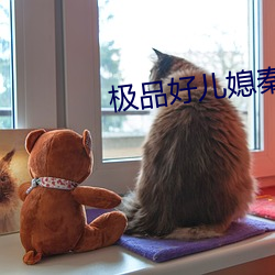 极品好(好)儿媳秦(秦)雨