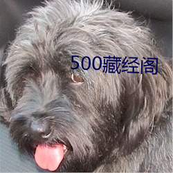 500藏经阁