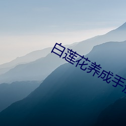 白莲花养成手(shǒu)册