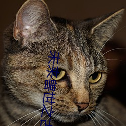 尊龙凯时·(中国)官方网站