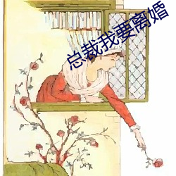 總裁我要離婚