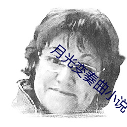 月光變奏曲小說