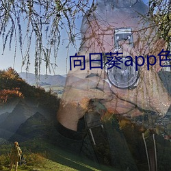 向日葵app色版 （以一持万）