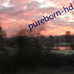 pureborn-hd