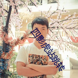 四影虎站跳转