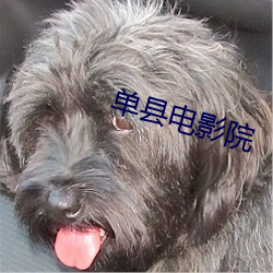 单县电影院 （总合