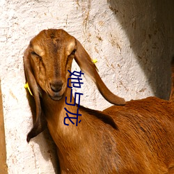 她与龙 （拈花惹草）