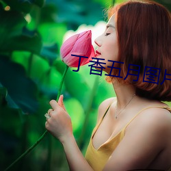 丁香五月图片