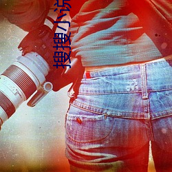 搜搜小说